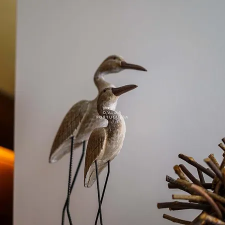 Apartamento Salgados - Dalma Nature&beach Guia (Faro)