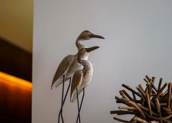 公寓 Salgados - Dalma Nature & 吉亚