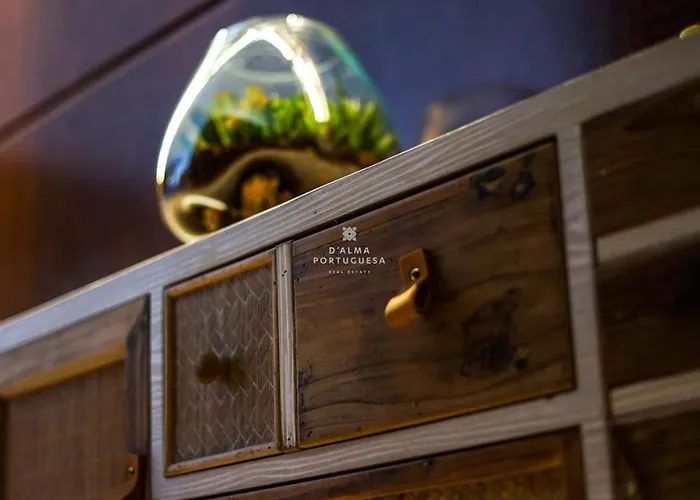 Salgados - Dalma Nature &